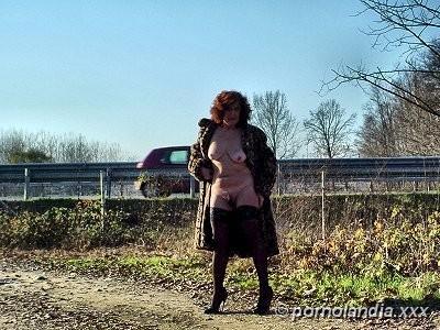 Chienne Cathy - Foto 87953